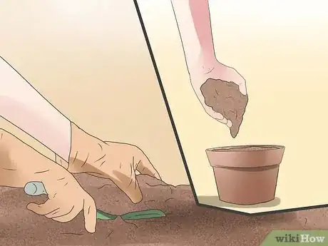 Step 4 给植物想要的土壤。