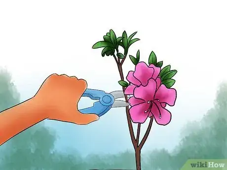 Step 4 修剪植物。