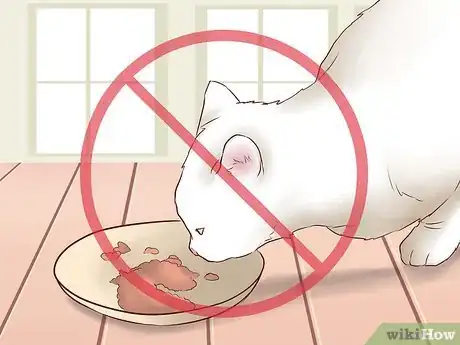 Step 2 不要给猫喂食。