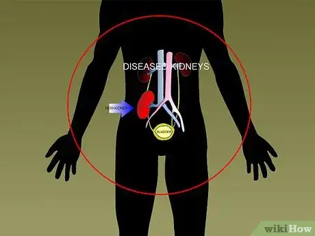 Step 3 了解什么时候需要看医生了。