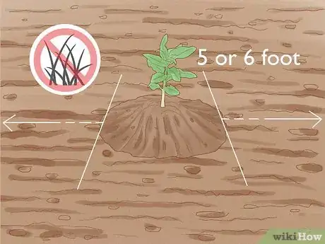 Step 2 高效除草。