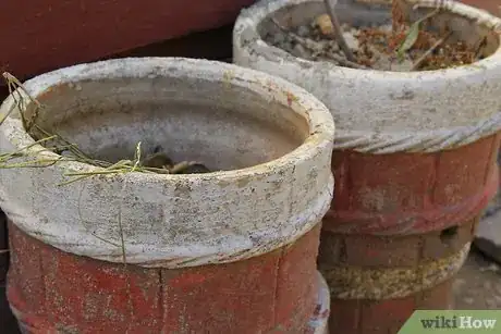 Step 5 用心地根据时节种植、移植。