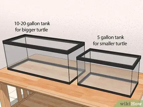 Step 2 把海龟养在水族箱里。