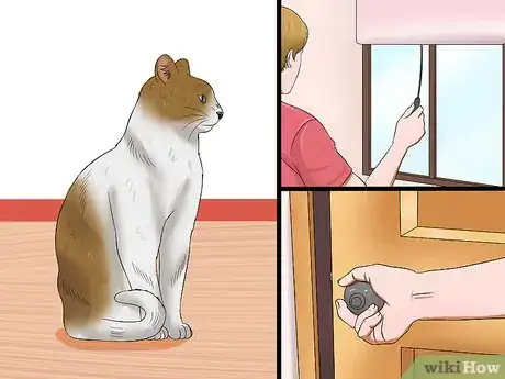 Step 4 限制猫咪与外界接触。