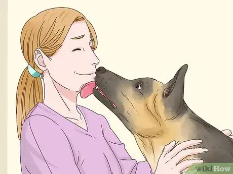 Step 3 奖励爱犬的良好行为。