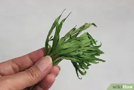 Step 2 采摘植物。