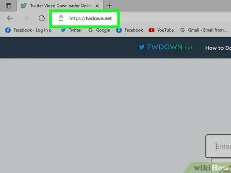 Step 6 打开TwDown网站。