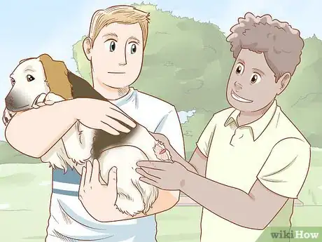 Step 4 让别人帮忙抱住狗进行安抚。