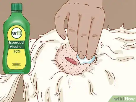 Step 3 消毒。