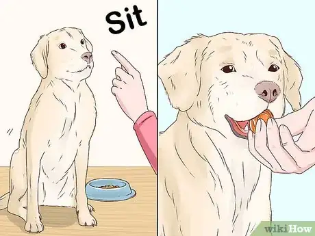 Step 4 重新训练爱犬。