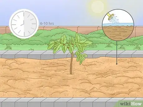 Step 3 找一个完美的种植位置。