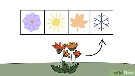 Step 5 让植物适当休眠。