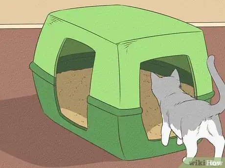 Step 3 尽量让猫咪够得着猫砂盆。