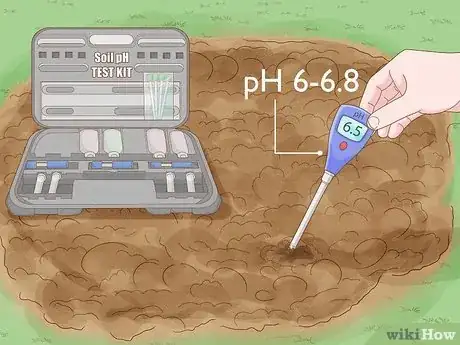 Step 3 检测土壤的pH值...