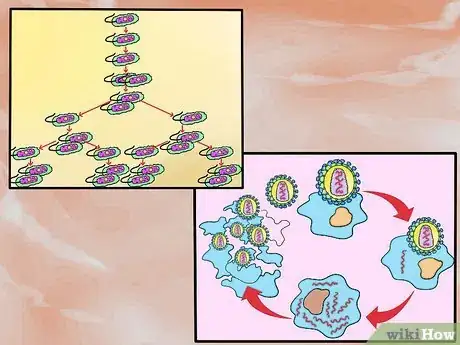 Step 4 观察生物的生殖周期。