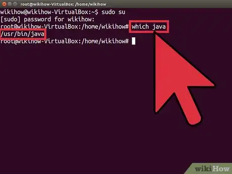 Step 2 输入which java确认Ubuntu电脑上的Java安装位置。