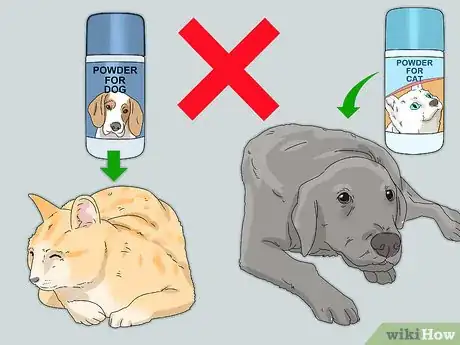 Step 4 狗用产品不能用在猫身上，反之亦然。