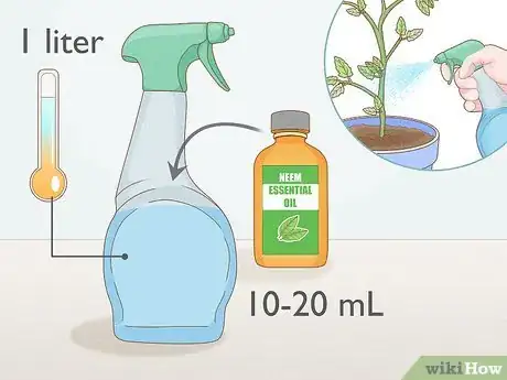 Step 7 把精油喷雾喷洒在植物上。