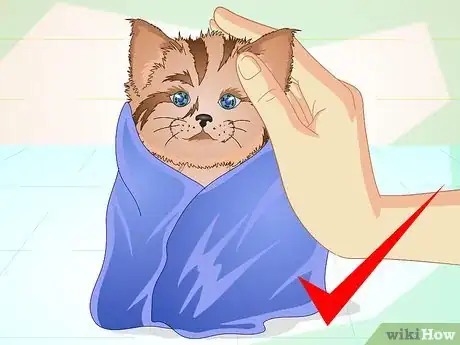 Step 2 给猫咪保暖。