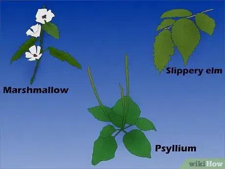 Step 4 粘液质草药。