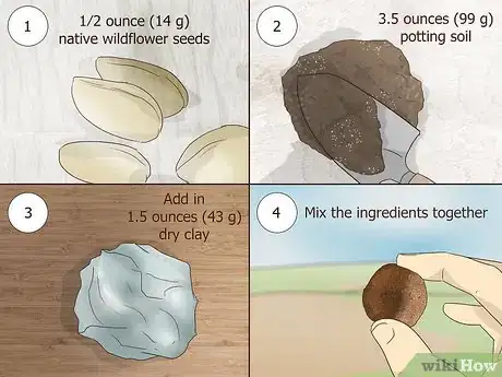 Step 1 制作可以到处投放的种子球。