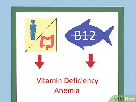 Step 2 判断是否有缺乏维生素性贫血。