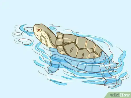 Step 8 让海龟自己吃东西。