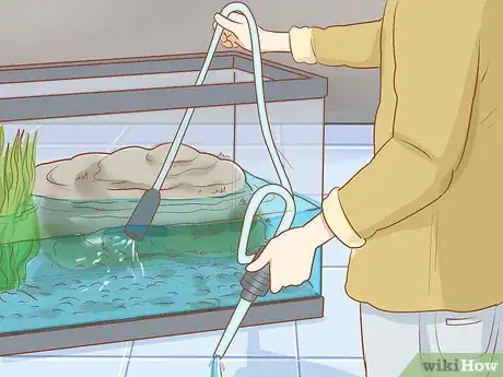 Step 3 定期换水。