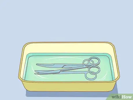 Step 5 准备一个消毒工具用的容器。