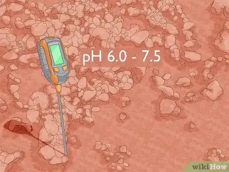 Step 2 选择排水较好的土壤。