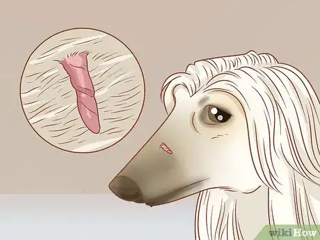 Step 1 分辨是皮赘还是疣。