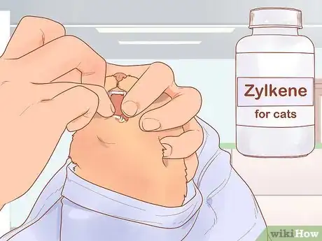 Step 2 尝试给猫咪服用Zylkene。