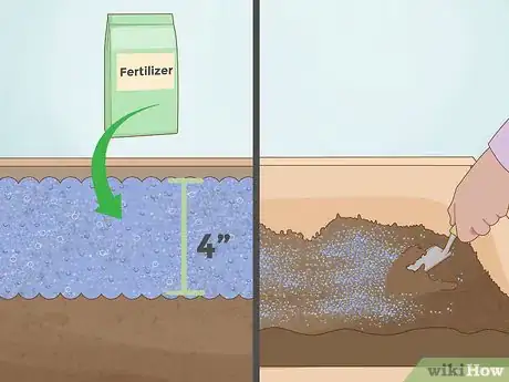 Step 4 用农家肥、堆肥或者高氮有机肥给土地施肥。