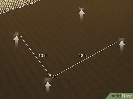 Step 2 种南瓜时的行间隔要留宽一点。