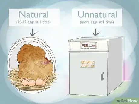 Step 6 了解每种方法的利弊。