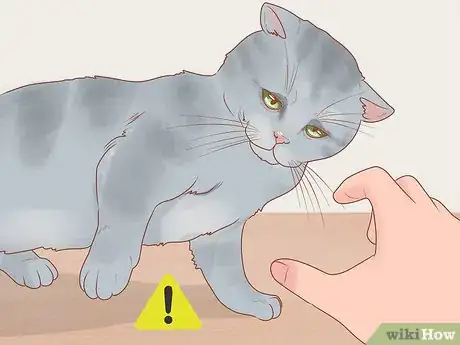 Step 2 了解何时该安慰猫咪。