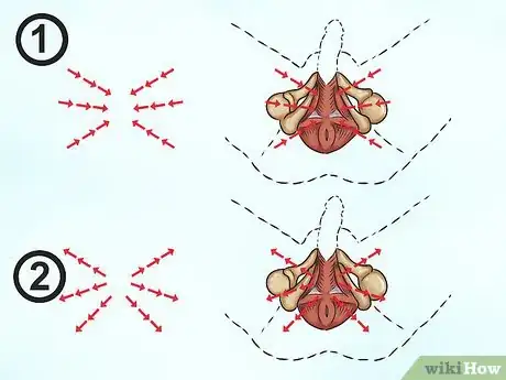 Step 3 进行PC肌断续练习。