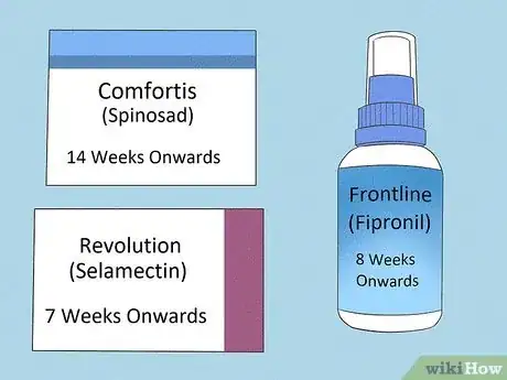 Step 6 知道什么时候可以开始使用除蚤产品。