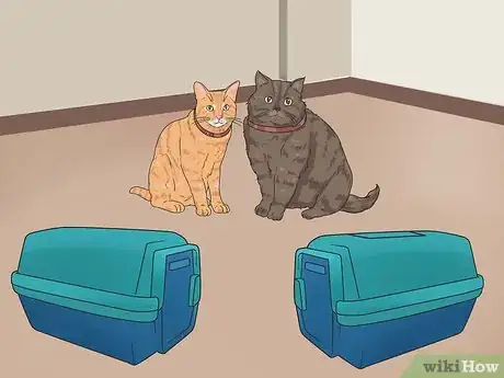 Step 5 给每只猫咪单独配备一个猫笼或猫箱。