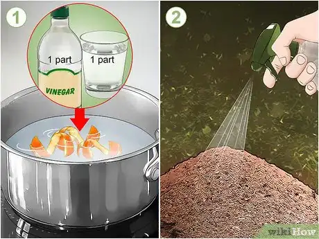 Step 4 用橘子皮和醋制成驱虫喷雾剂来驱赶蚂蚁。