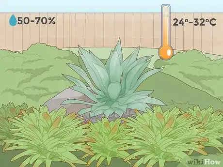 Step 3 如果你将植物种在室外，查询全年的温度和湿度。