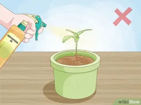 Step 5 禁止在某些植物上喷洒园艺油。