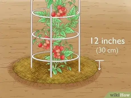 Step 3 用覆盖料覆盖地表。