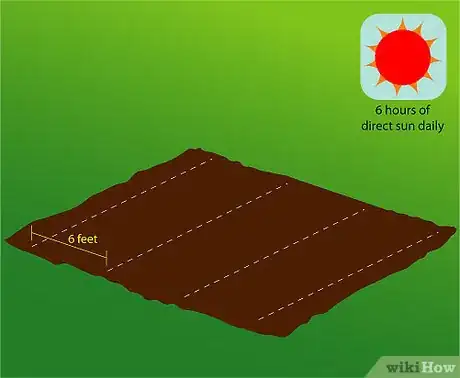 Step 3 选择种植地点。