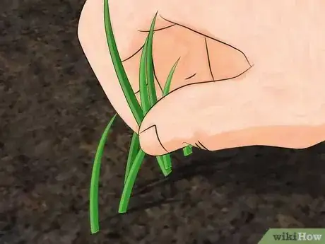 Step 5 给花园除草。