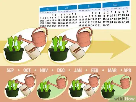 Step 4 给你的仙人掌少量地施加缓释肥料。