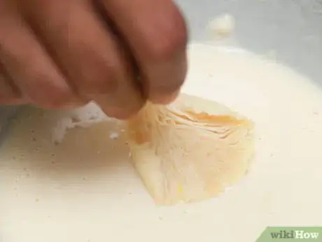 Step 5 给蘑菇涂层。