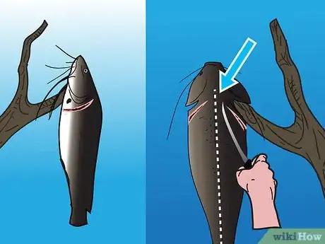 Step 4 把鱼的鱼鳃勾在树上或者其它合适的地方。