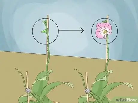 Step 1 注意季节。