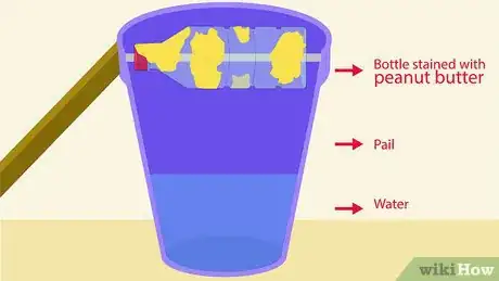 Step 3 淹死老鼠。